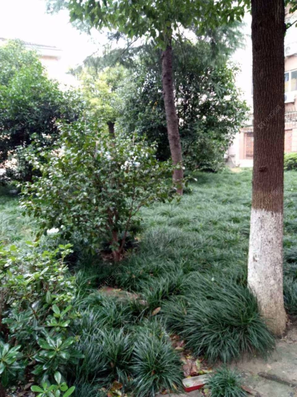 上海共富四村小区_共富四村小区null