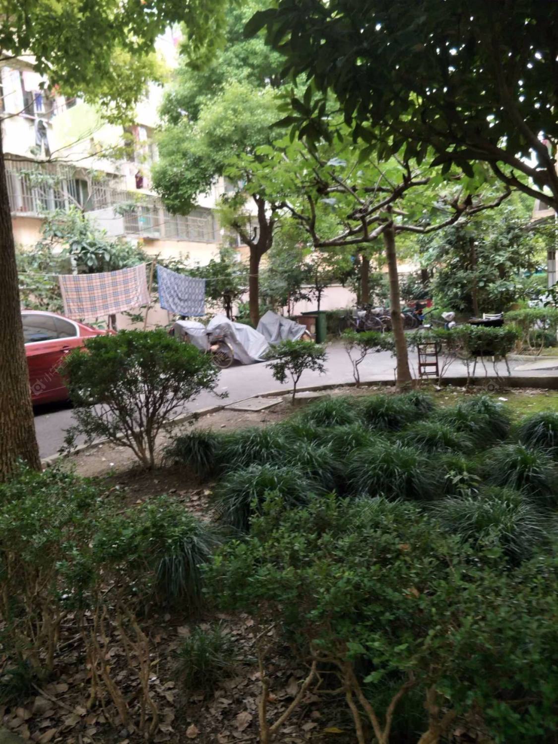 香樟苑南苑封面图_小牛看房