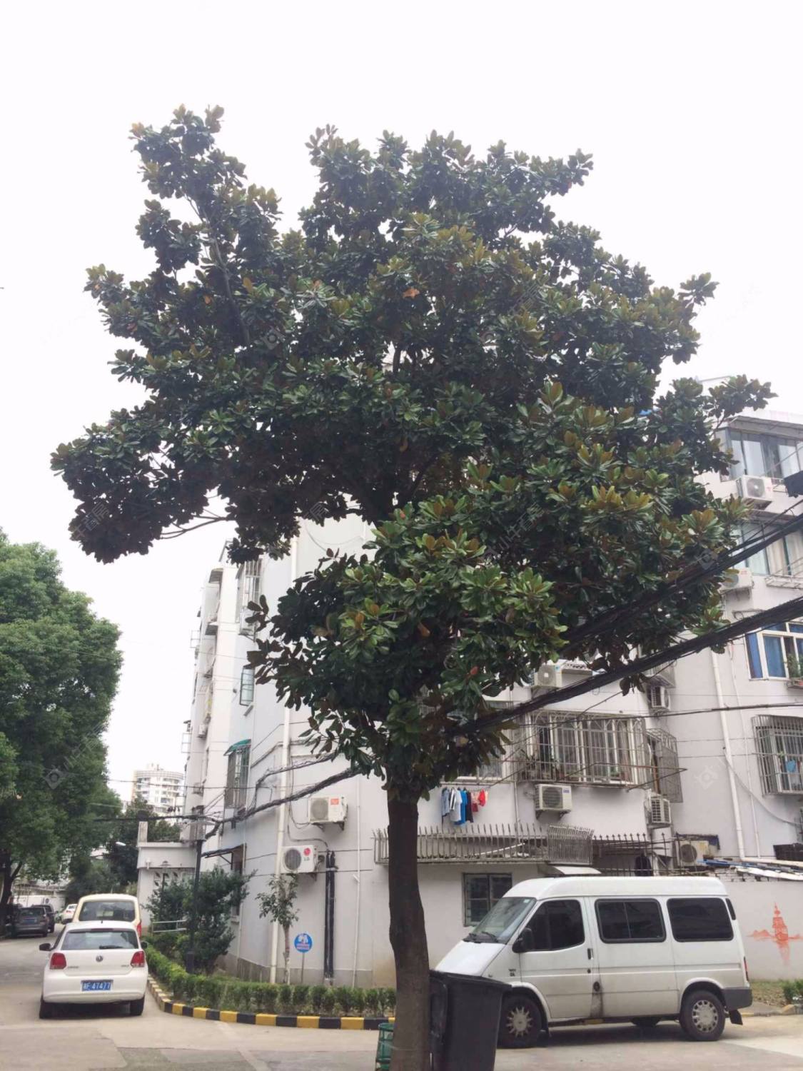 上海寿二小区小区_寿二小区小区null