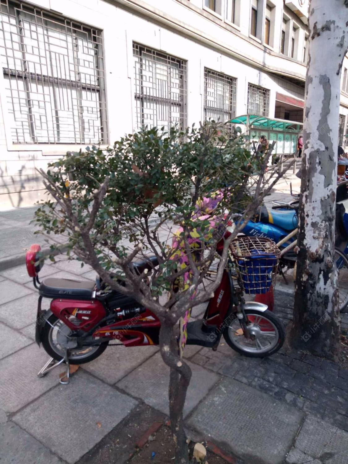 上海永嘉公寓小区_永嘉公寓小区null