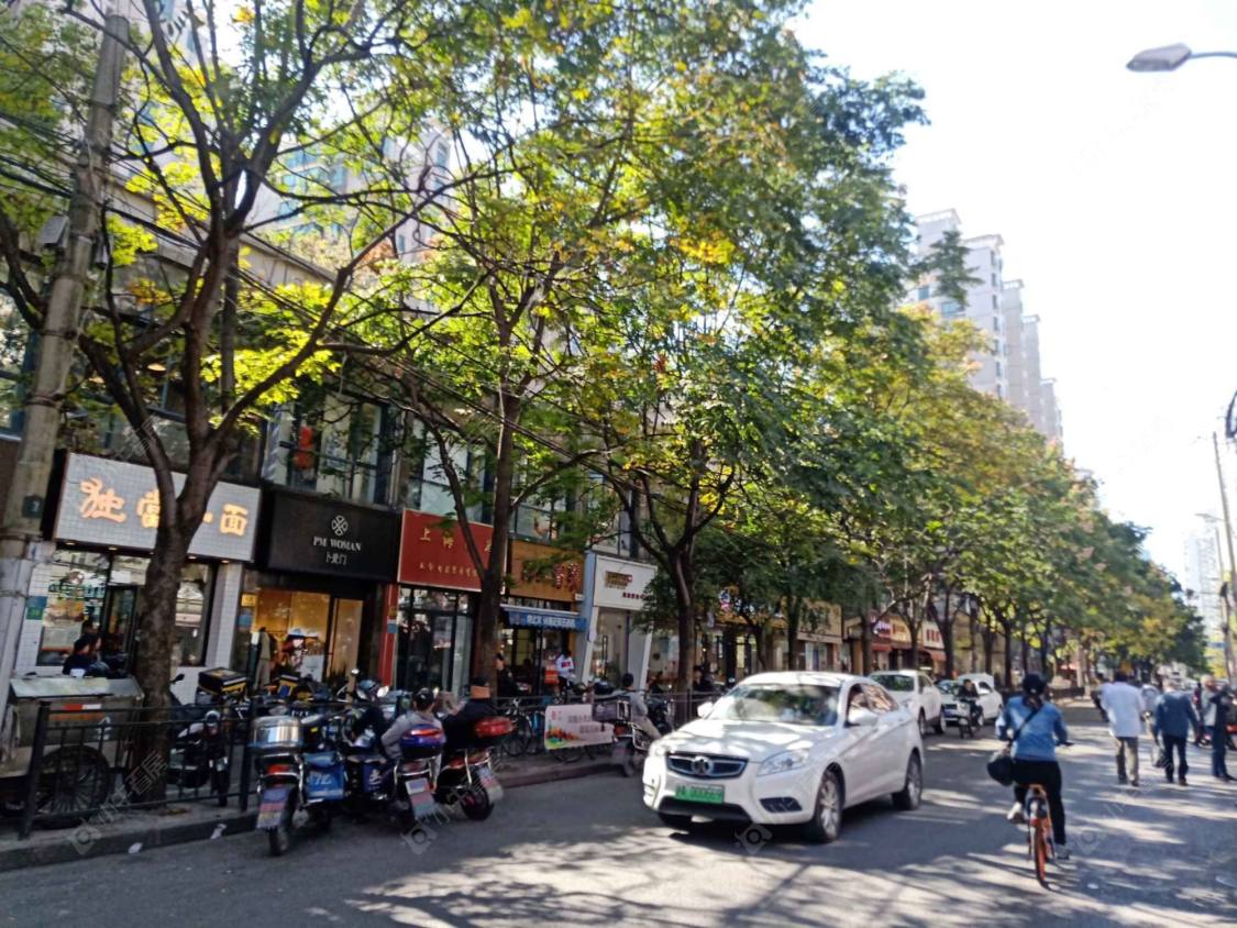 上海丽园路45弄小区_丽园路45弄小区null