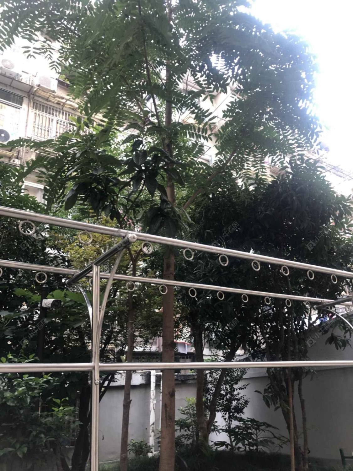 上海斜土路262弄小区_斜土路262弄小区null