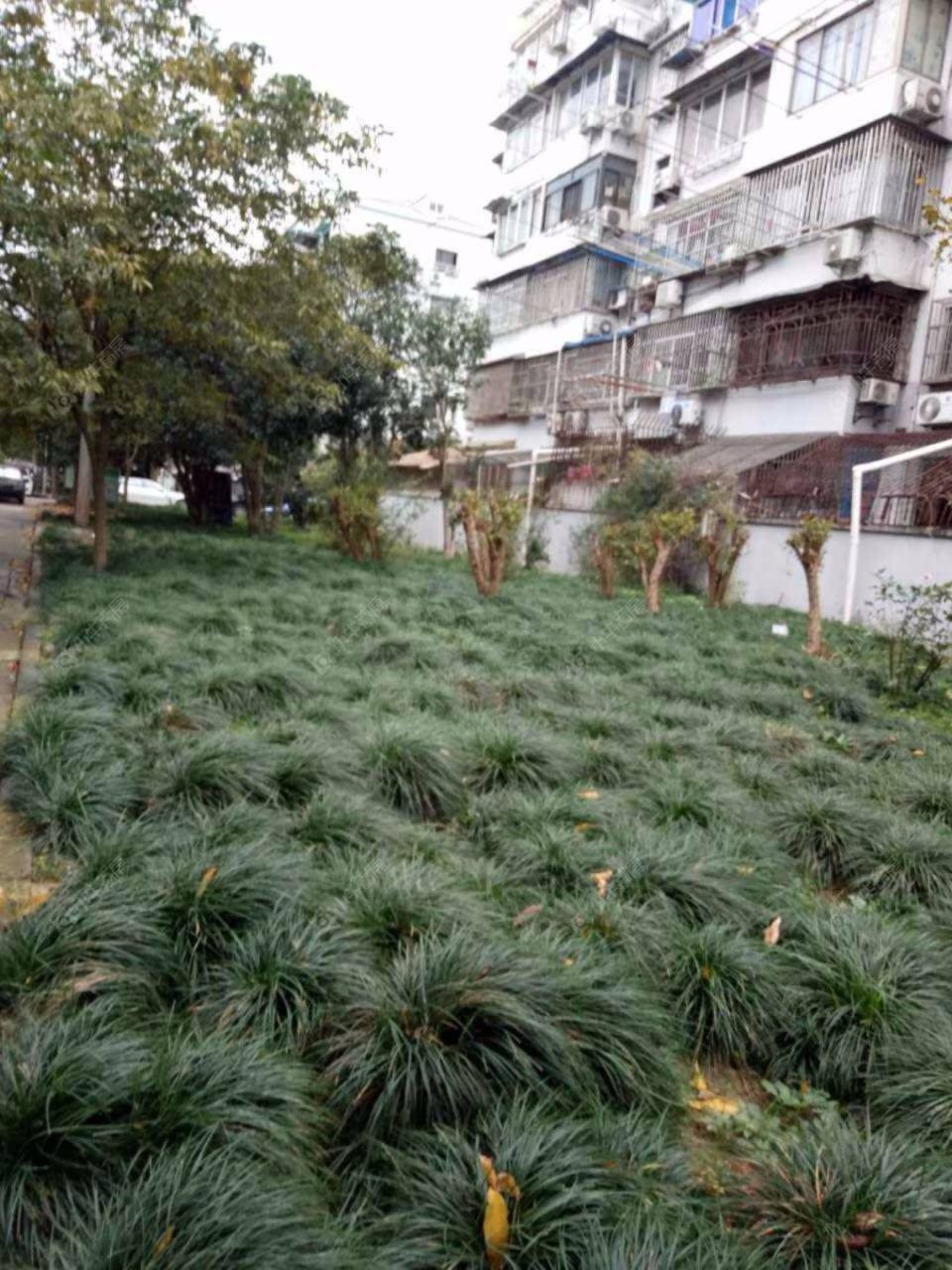 上海共康五村小区_共康五村小区null