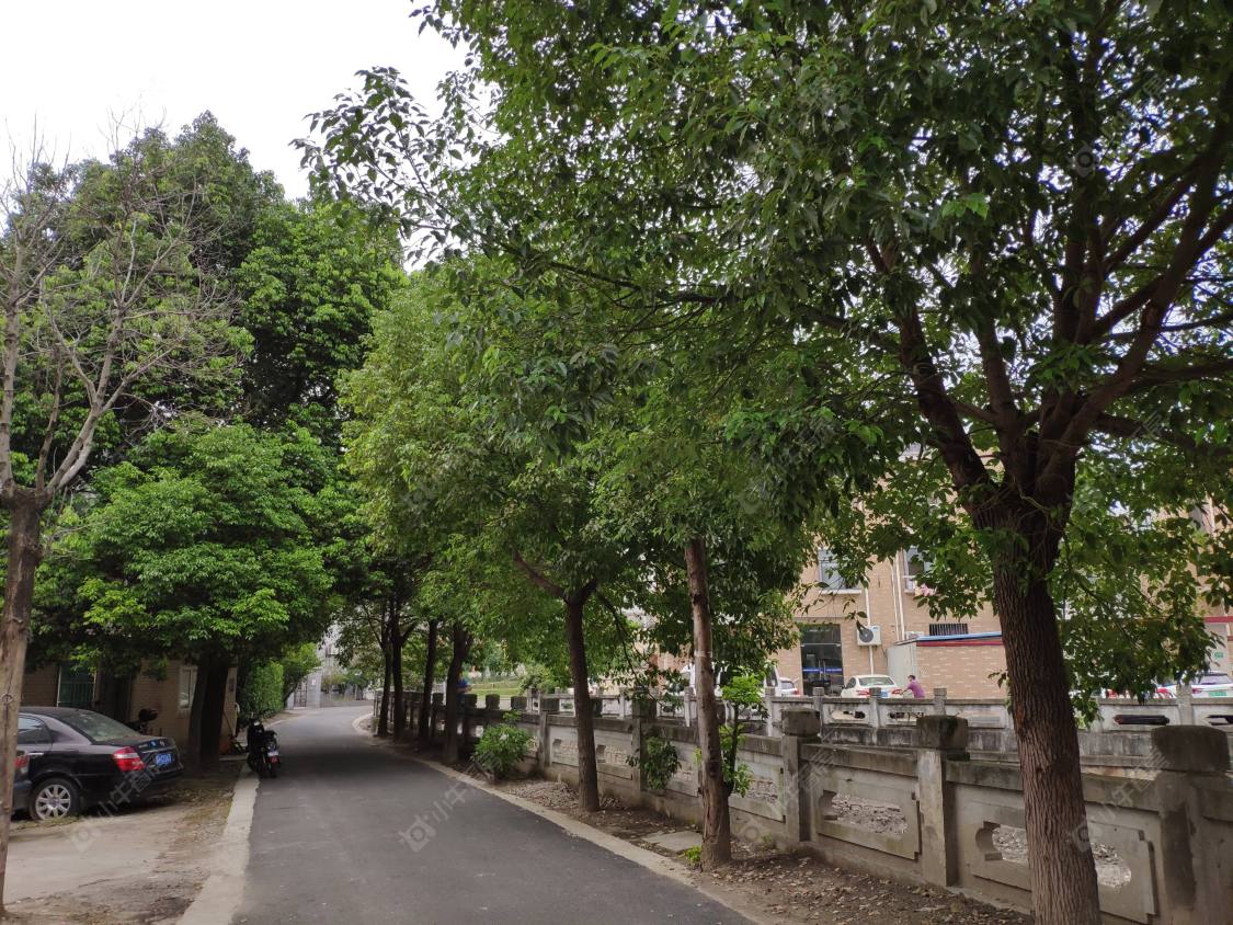 上海振新佳苑小区_振新佳苑小区null