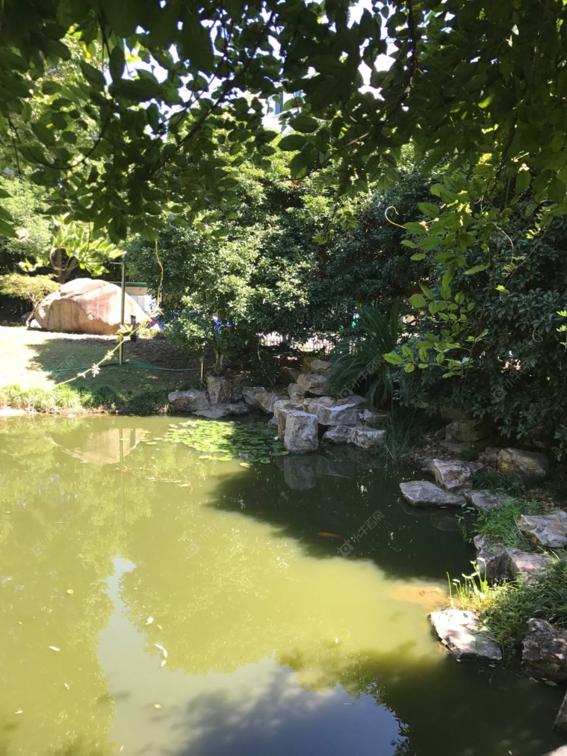 上海春江锦庐小区_春江锦庐小区null