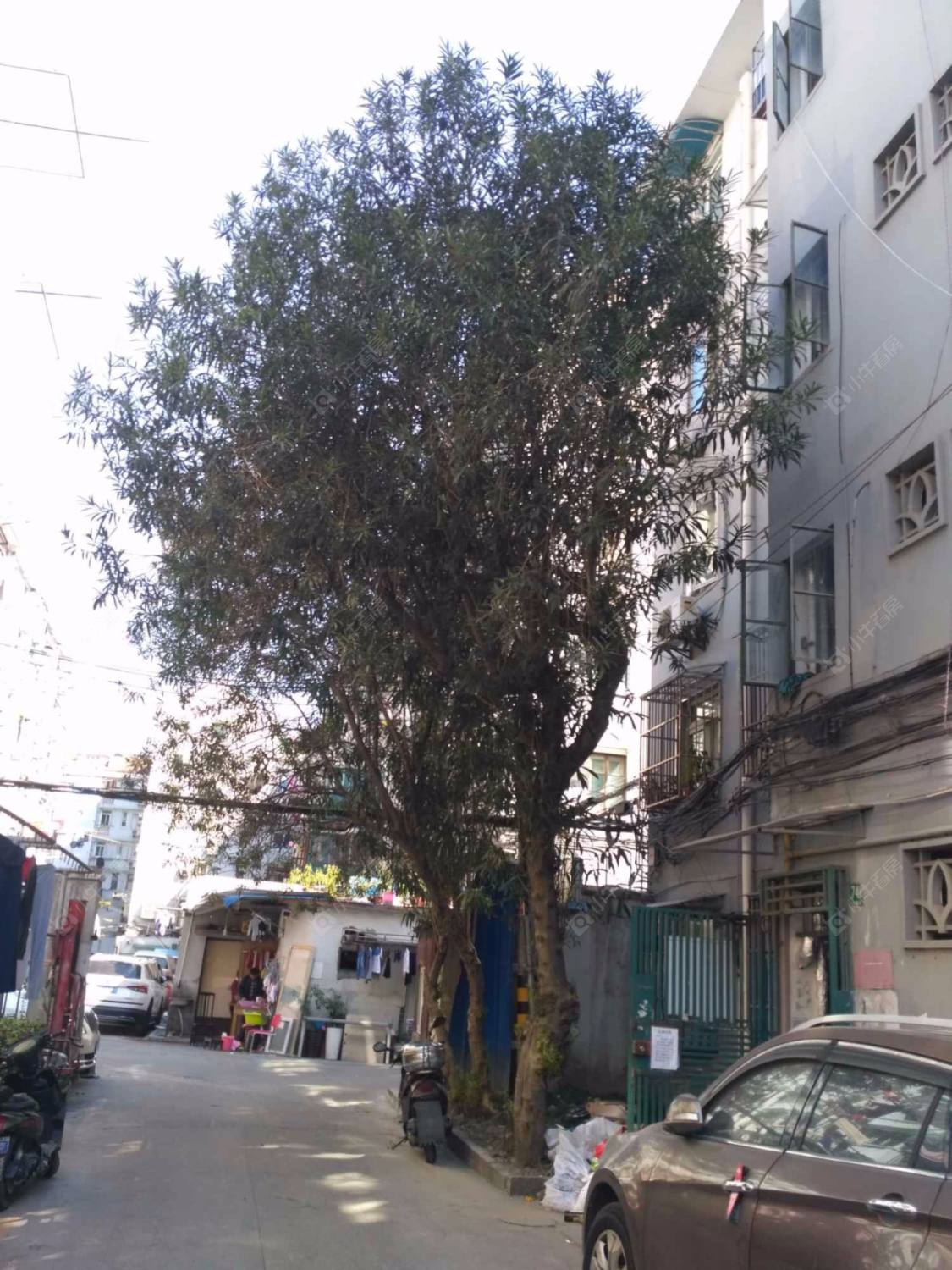 上海南车站路450弄小区_南车站路450弄小区null