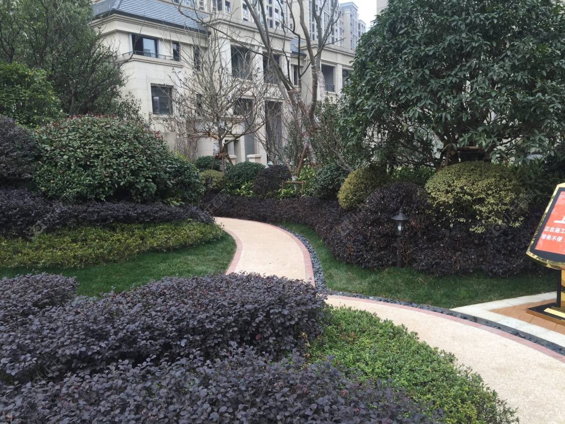 上海西郊299小区_小牛看房