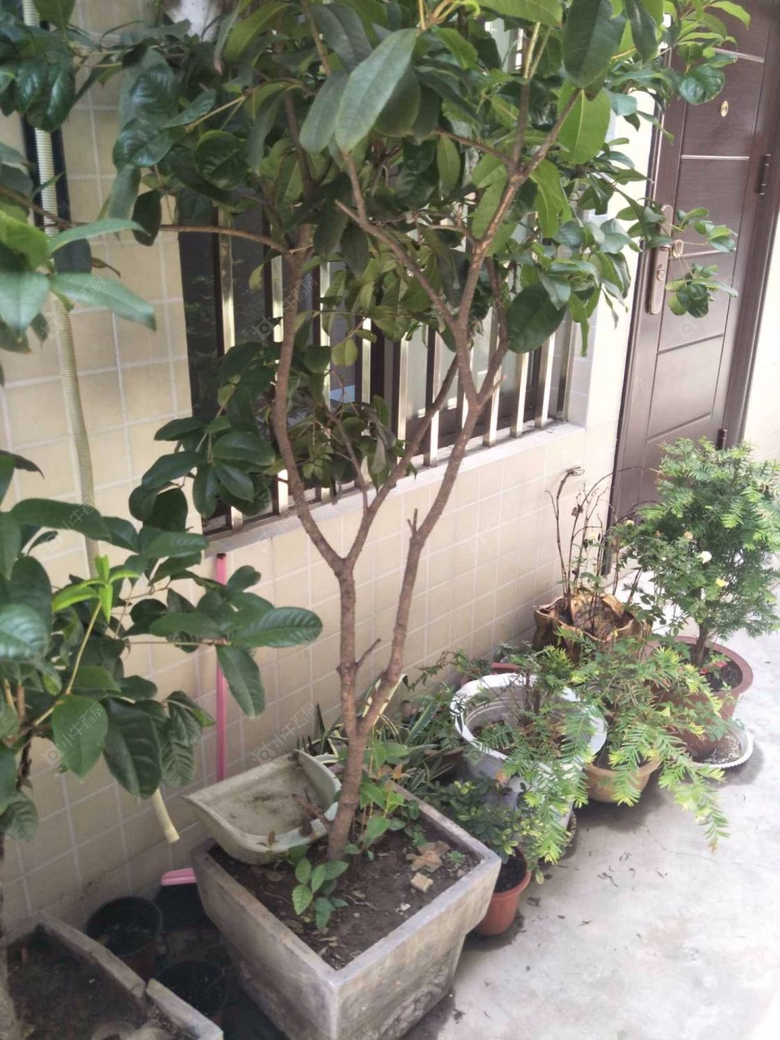 上海北京西路1300弄小区_北京西路1300弄小区null