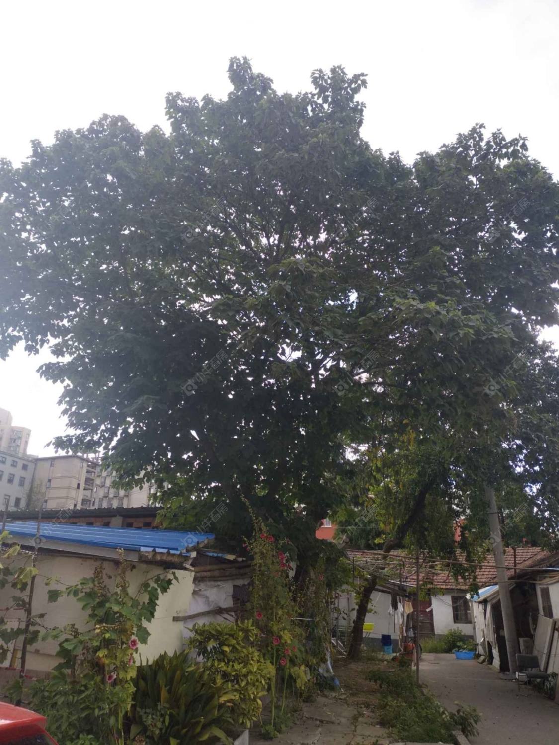 龙华新村东区封面图_小牛看房