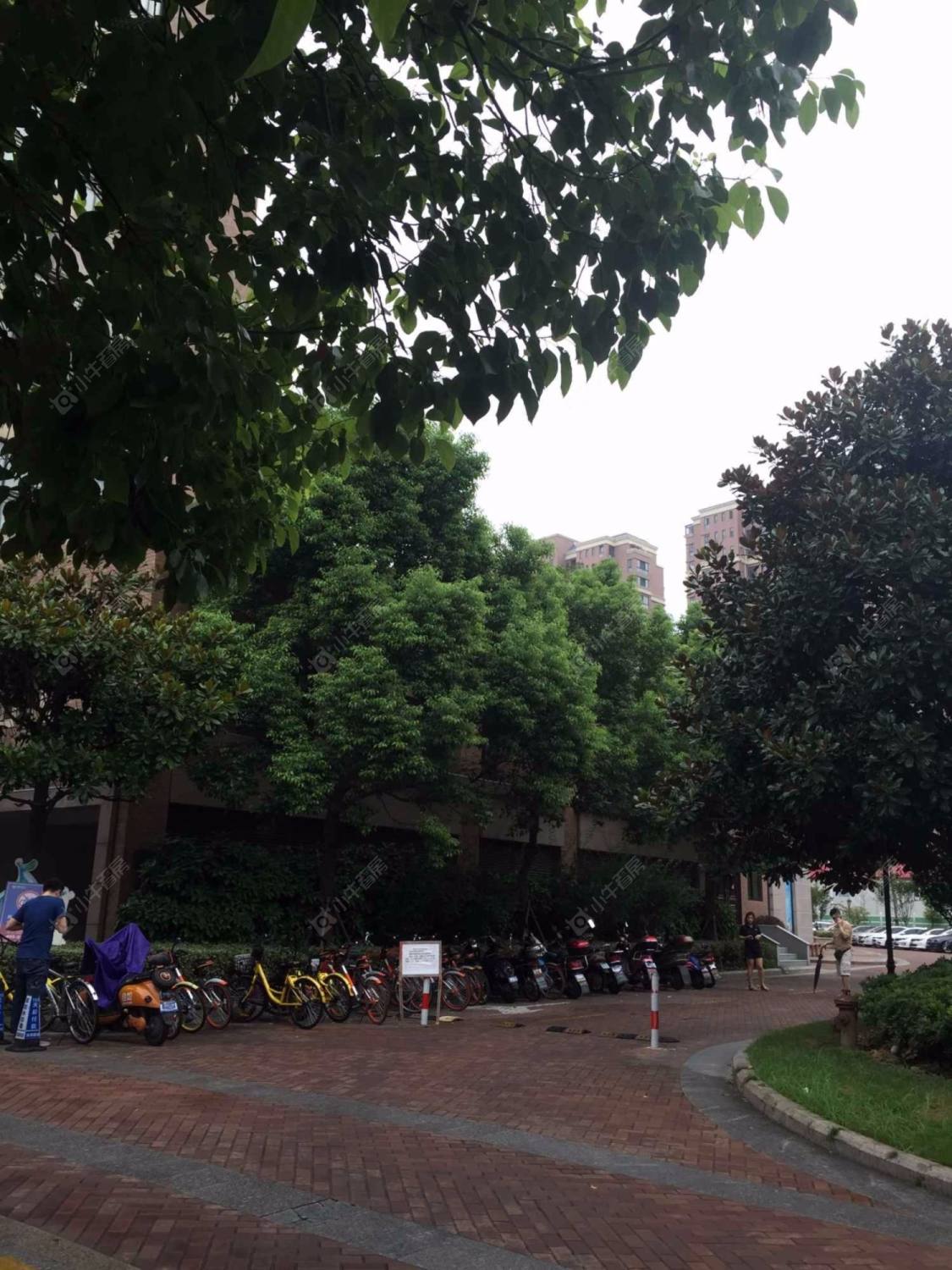 上海海上国际花园二期小区_海上国际花园二期小区null