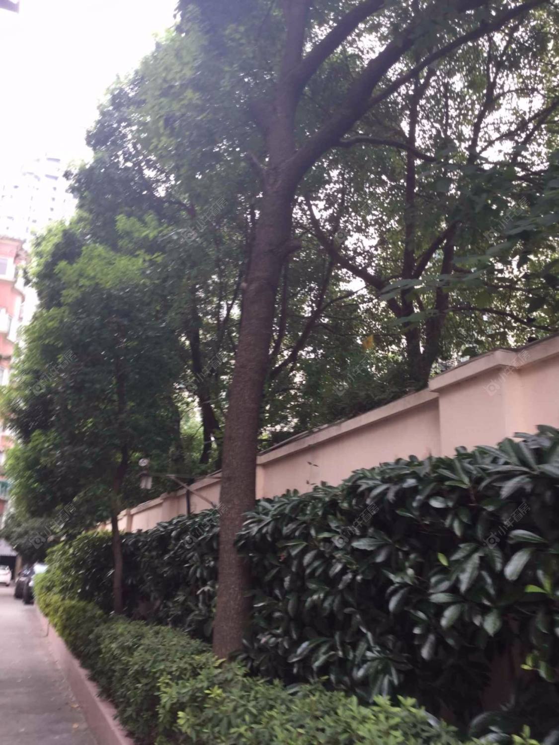 上海上环公寓小区_上环公寓小区null