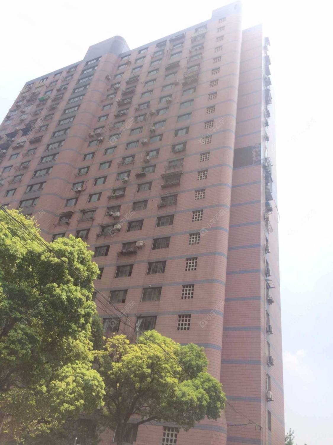 金凤大楼封面图_小牛看房