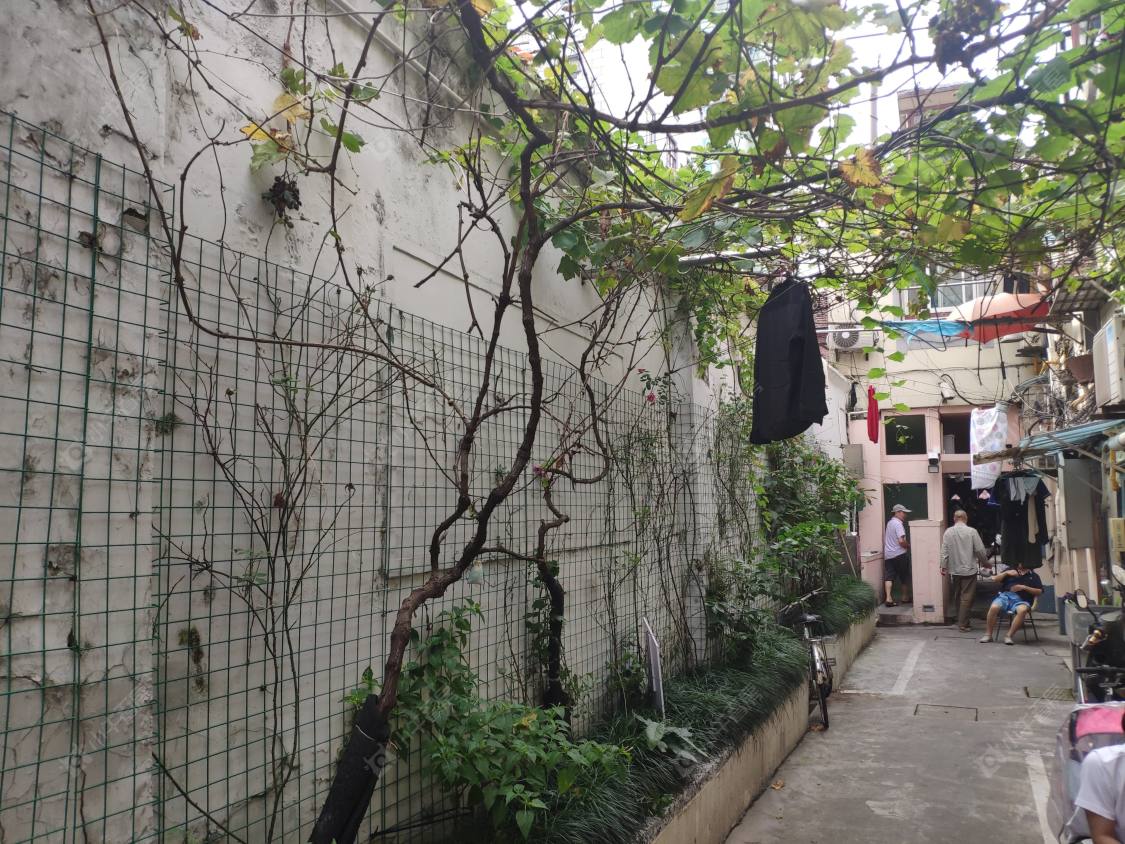 上海鸿兴里小区_鸿兴里小区实景图