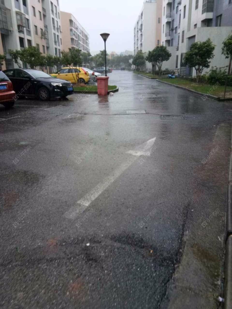 上海清风丽苑小区_清风丽苑小区null