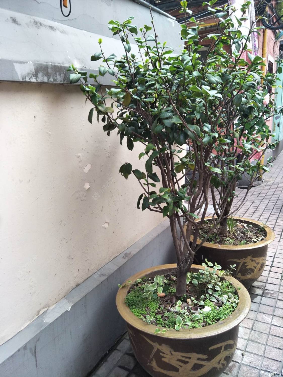 上海敏德坊小区_敏德坊小区null