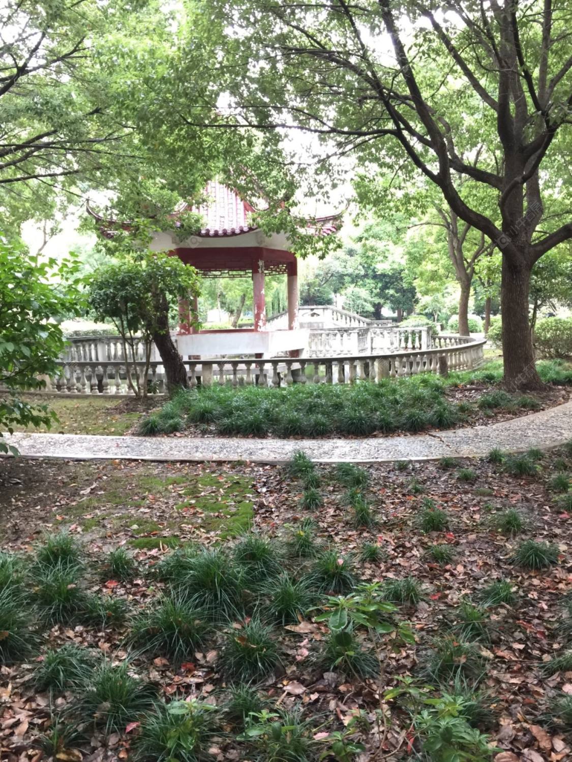 上海闵行汇龙花苑小区_闵行汇龙花苑小区null