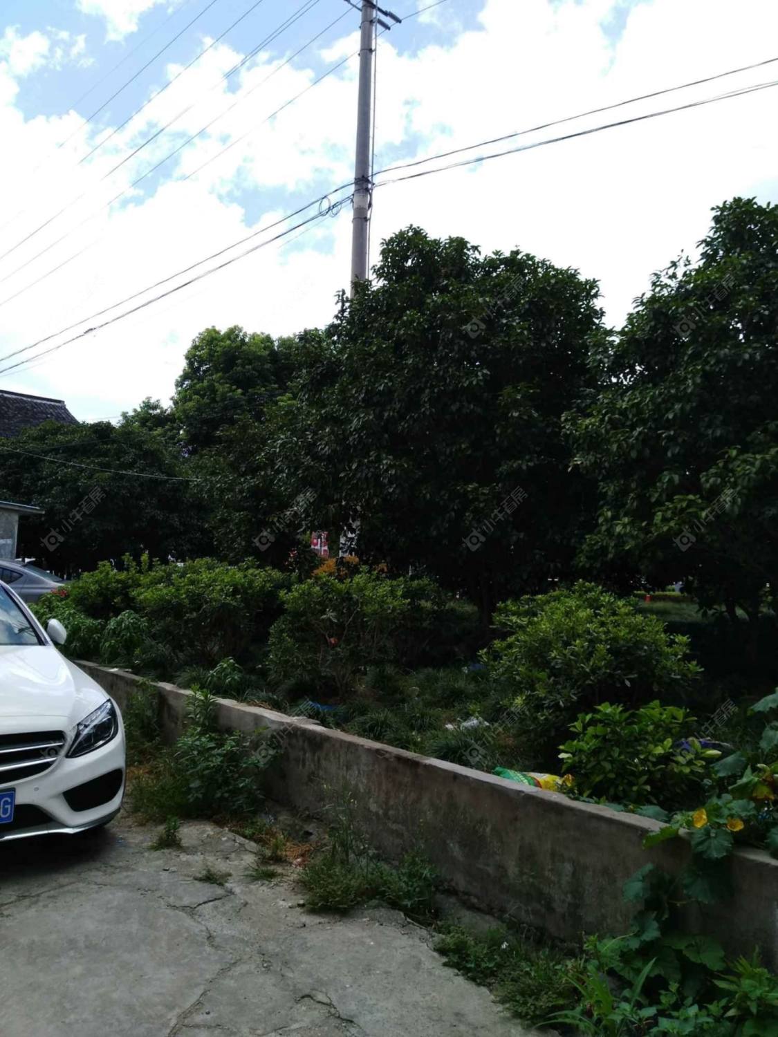 上海谈中路239弄小区_谈中路239弄小区null