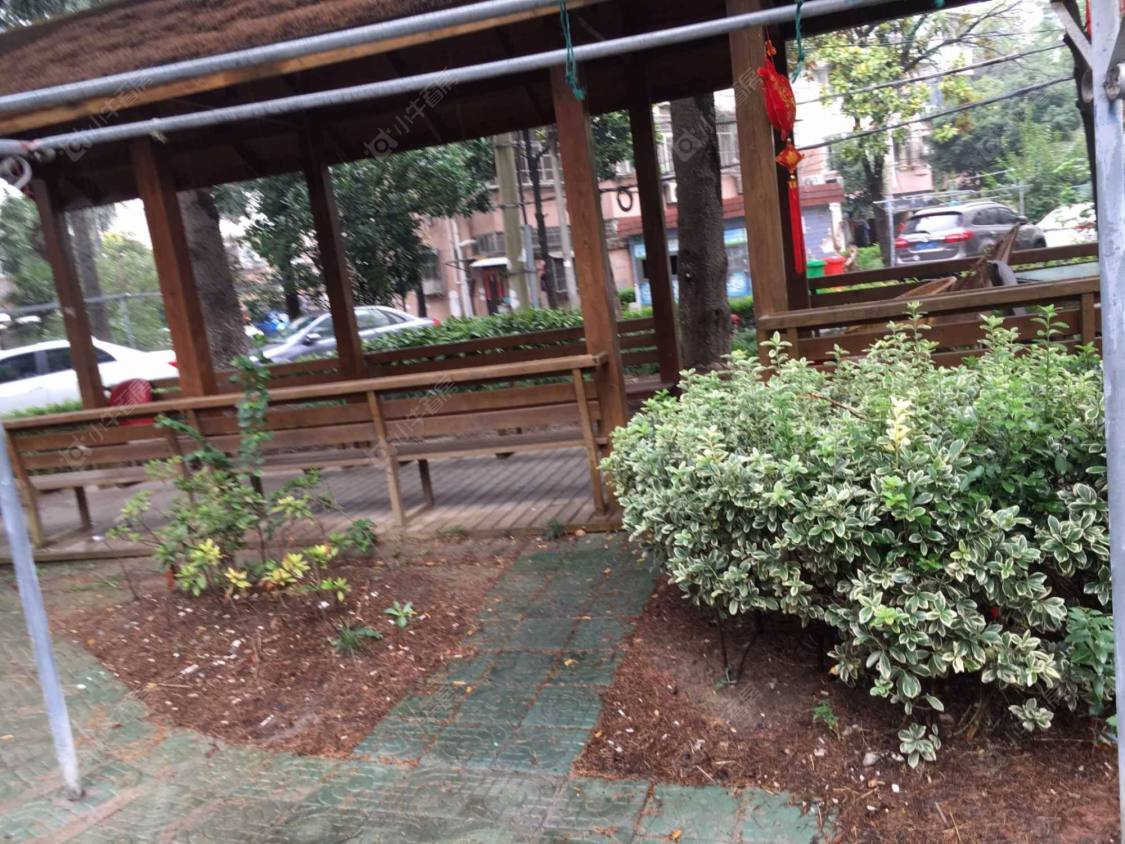 临沂八村81弄封面图_小牛看房