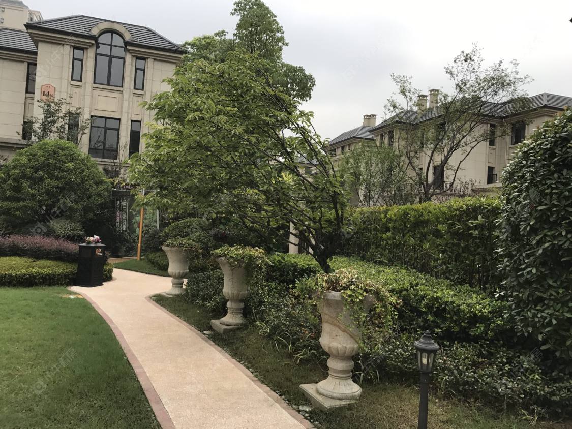 上海西郊299小区_西郊299小区实景图