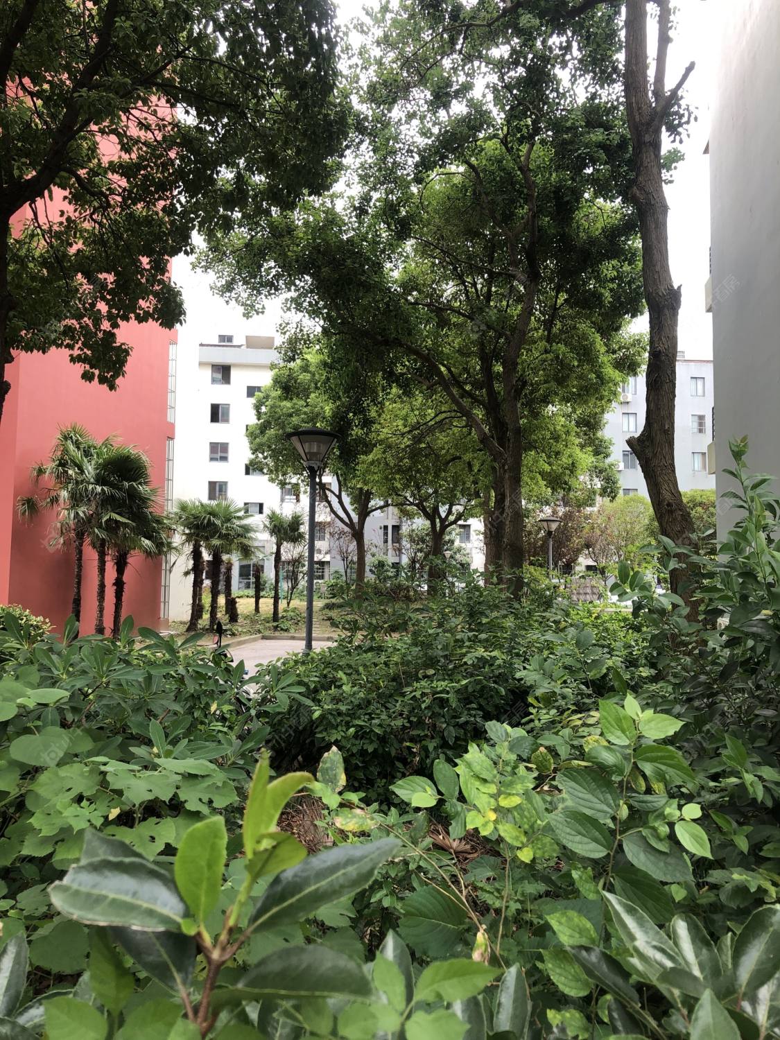 上海荷风翠庭小区_荷风翠庭小区null