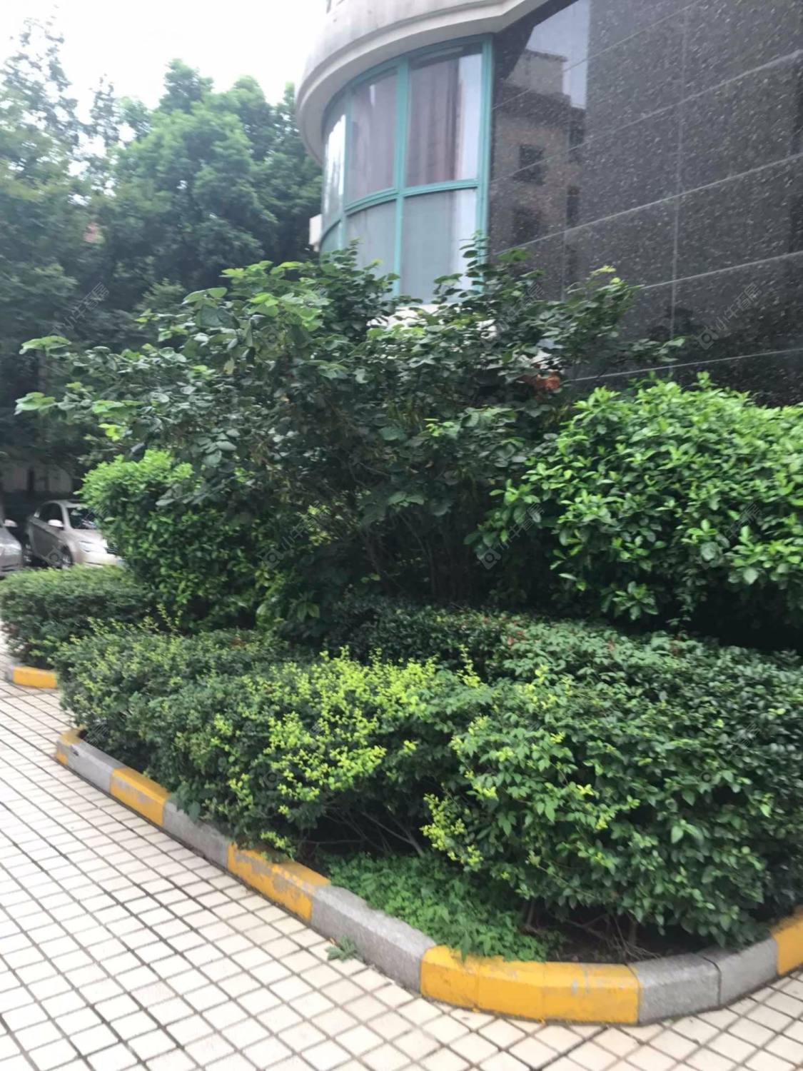 上海中邮苑小区_中邮苑小区null