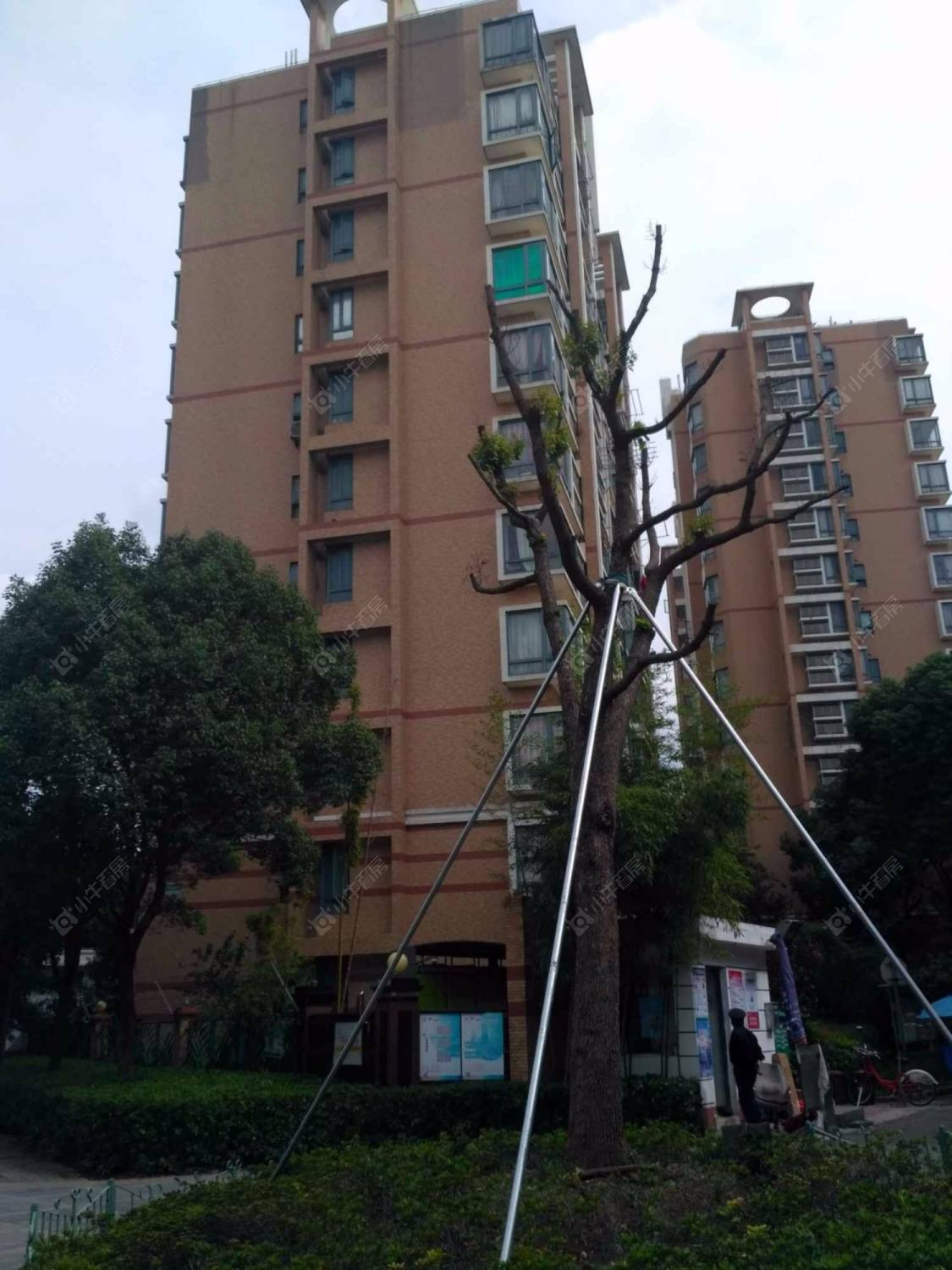 上海正阳世纪星城名仕苑小区_正阳世纪星城名仕苑小区null