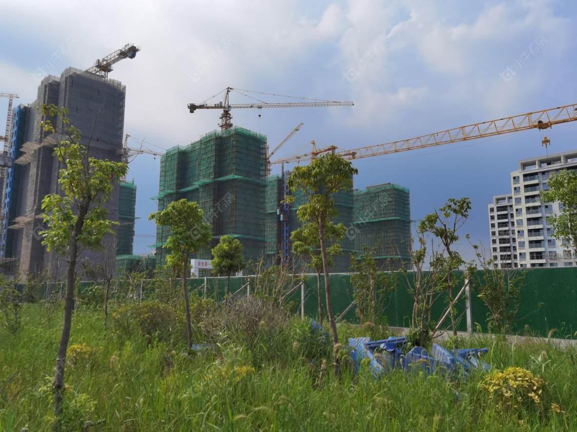 上海宝业青春里在售新楼盘null