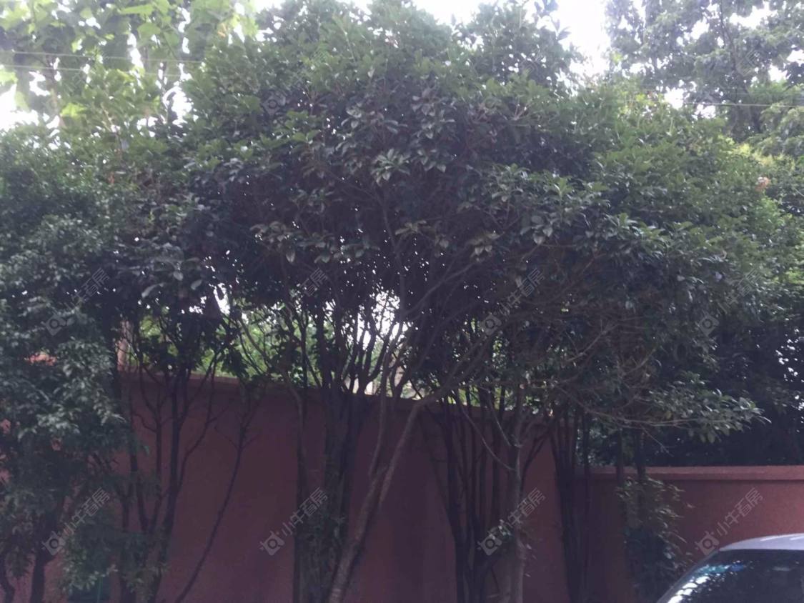 上海中鸿大厦小区_中鸿大厦小区null