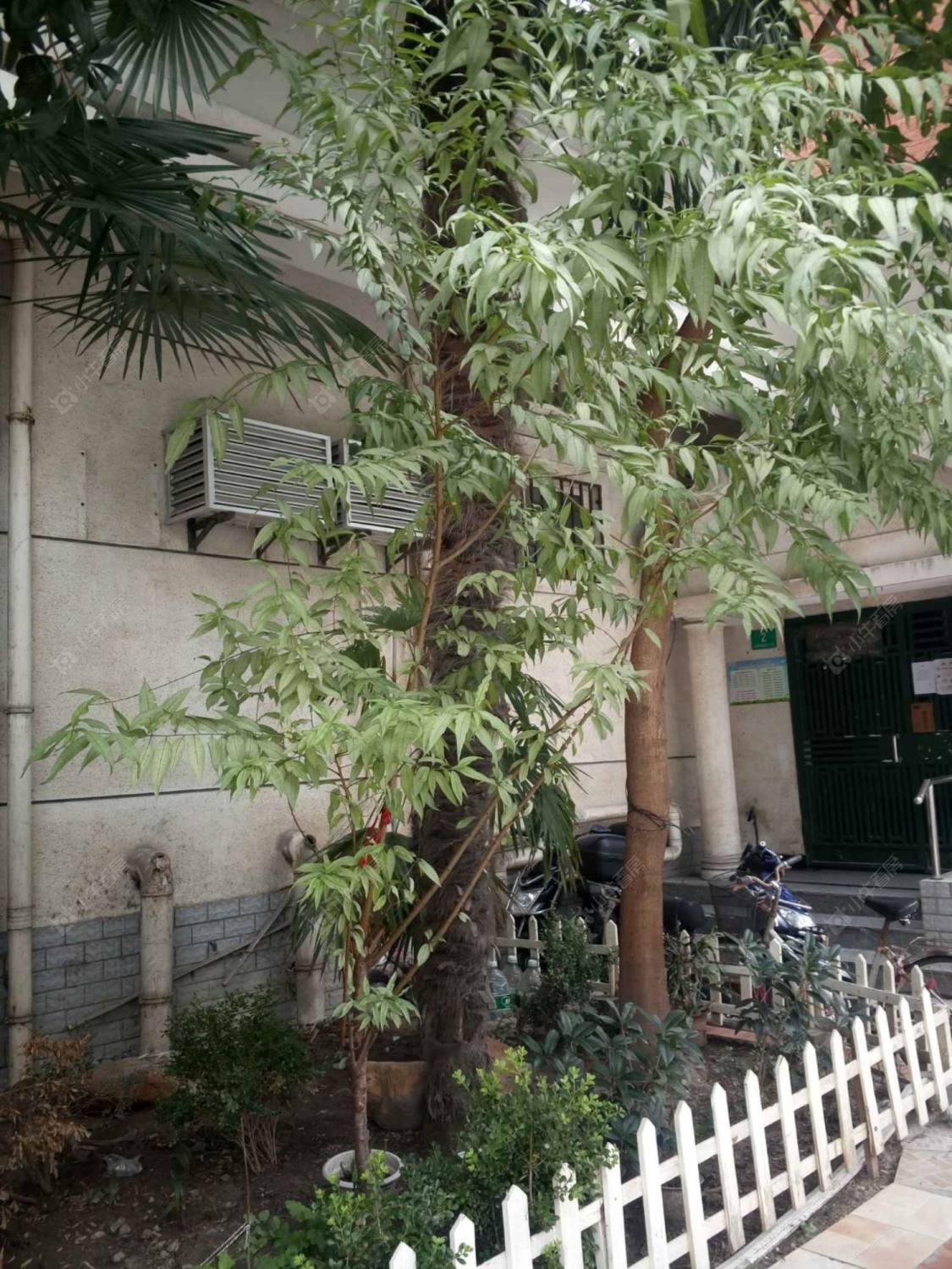 上海安基大楼小区_安基大楼小区null