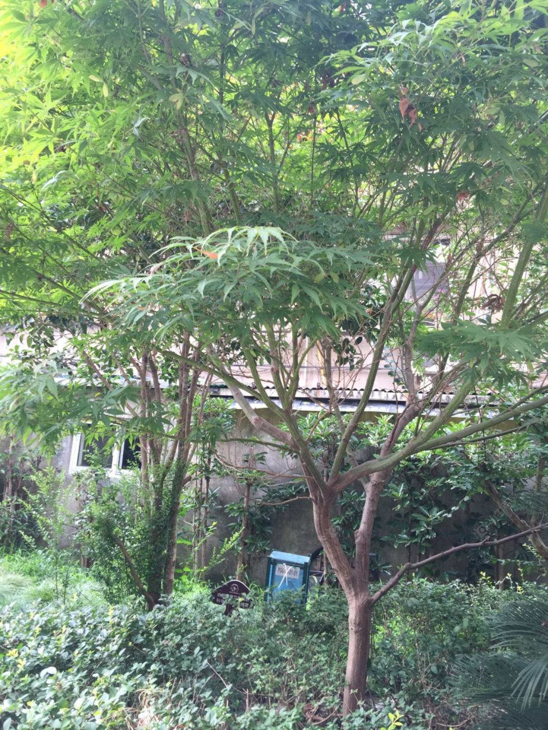 上海日晖五村小区_日晖五村小区null