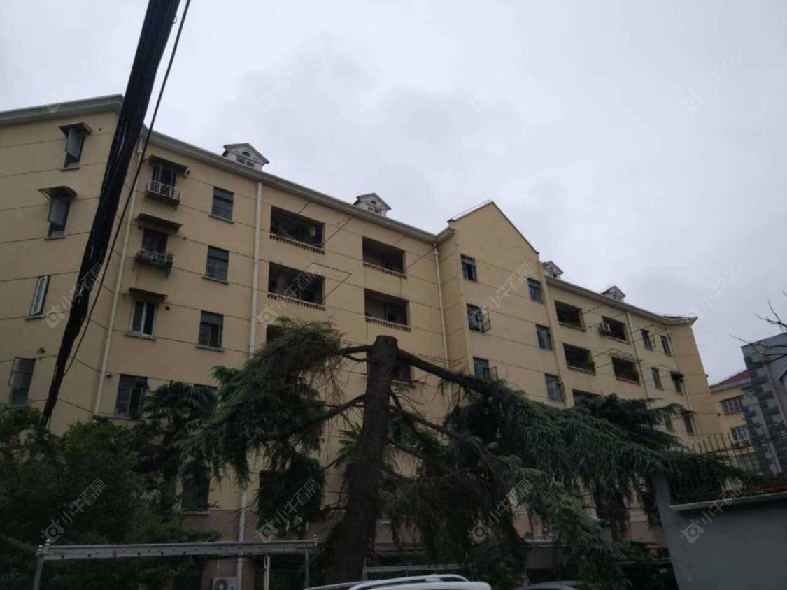 上海仙逸小区小区_仙逸小区小区null