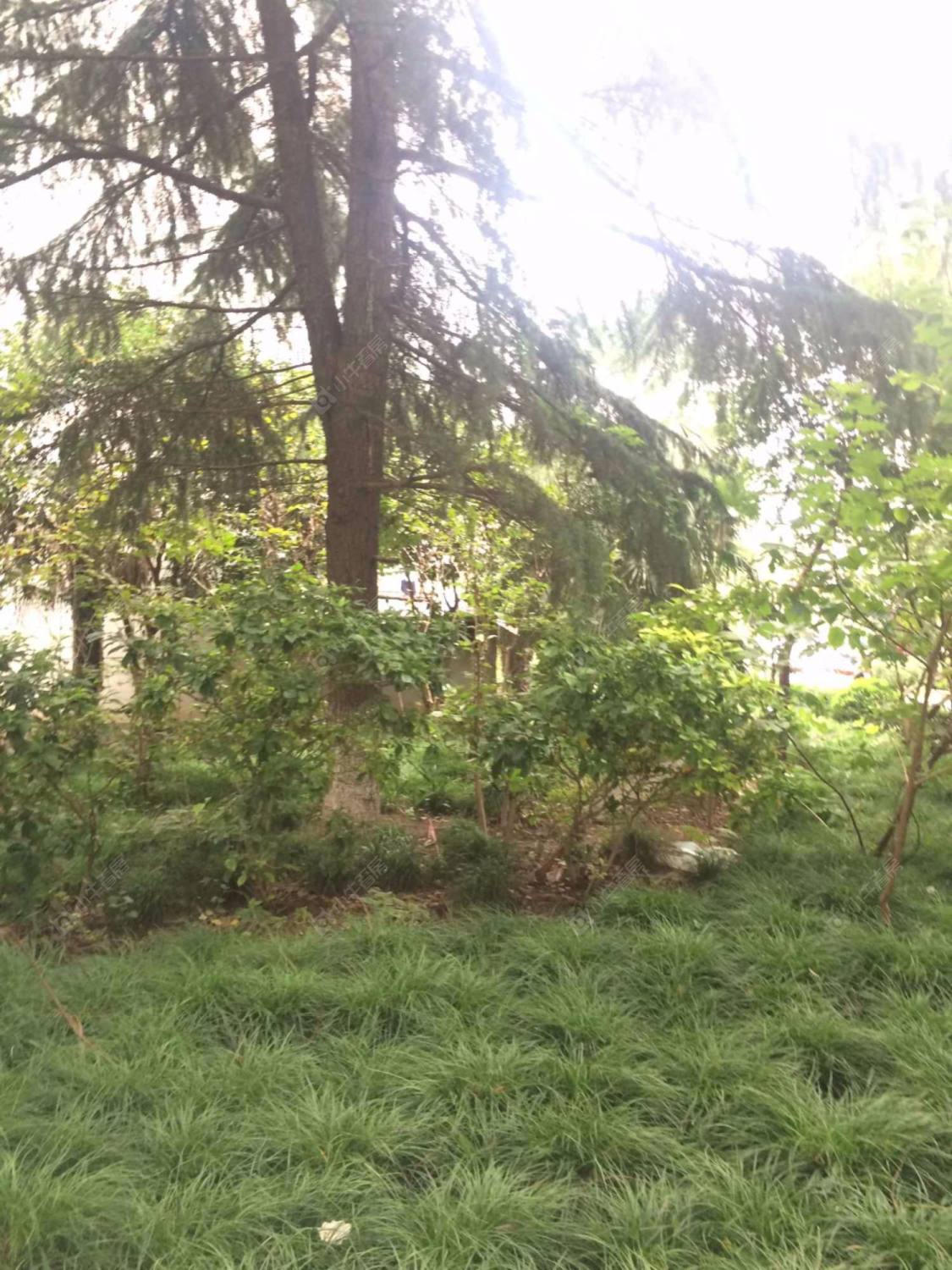 上海博一小区2支弄小区_博一小区2支弄小区null