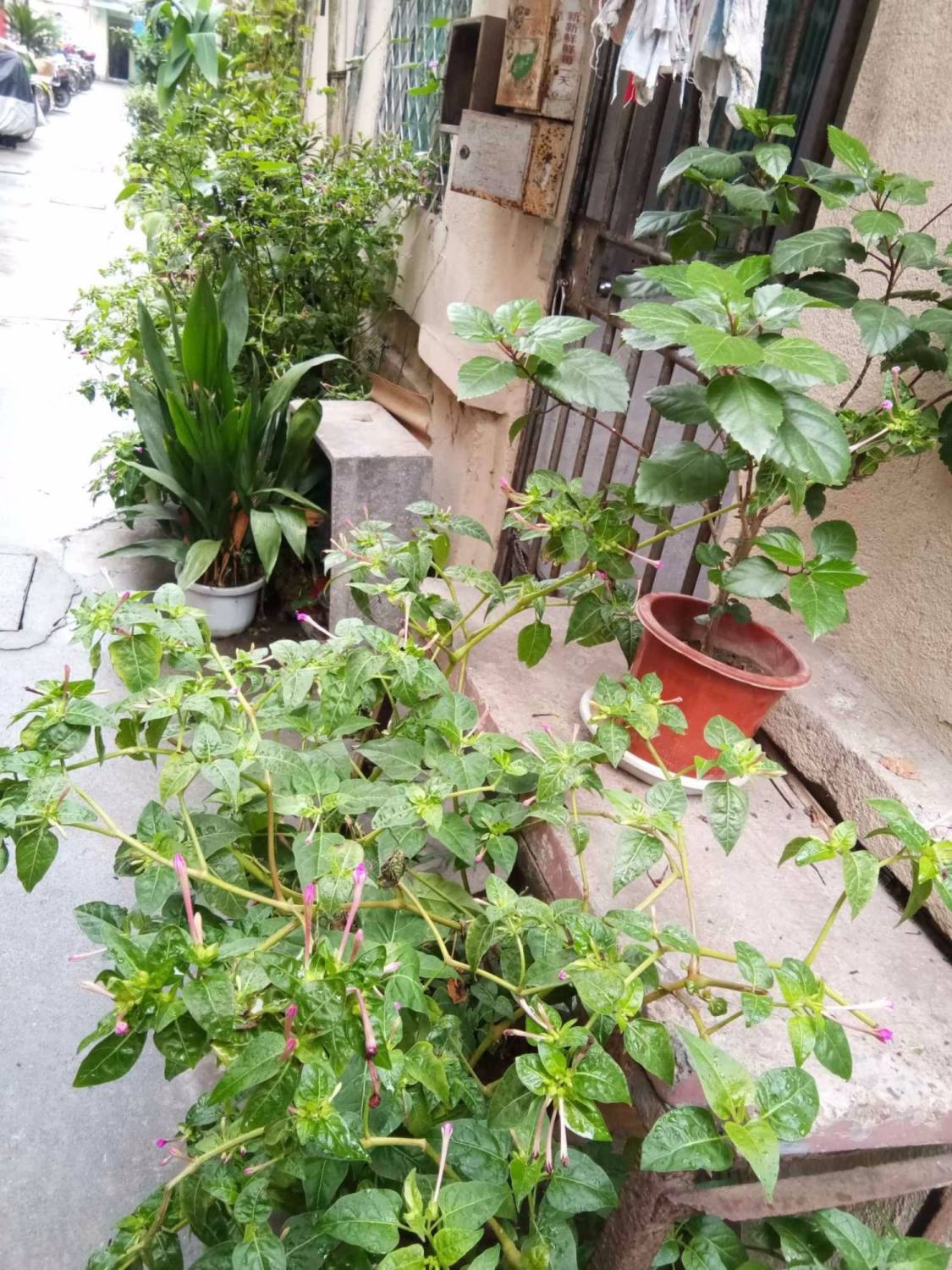 上海安吉里小区_安吉里小区null