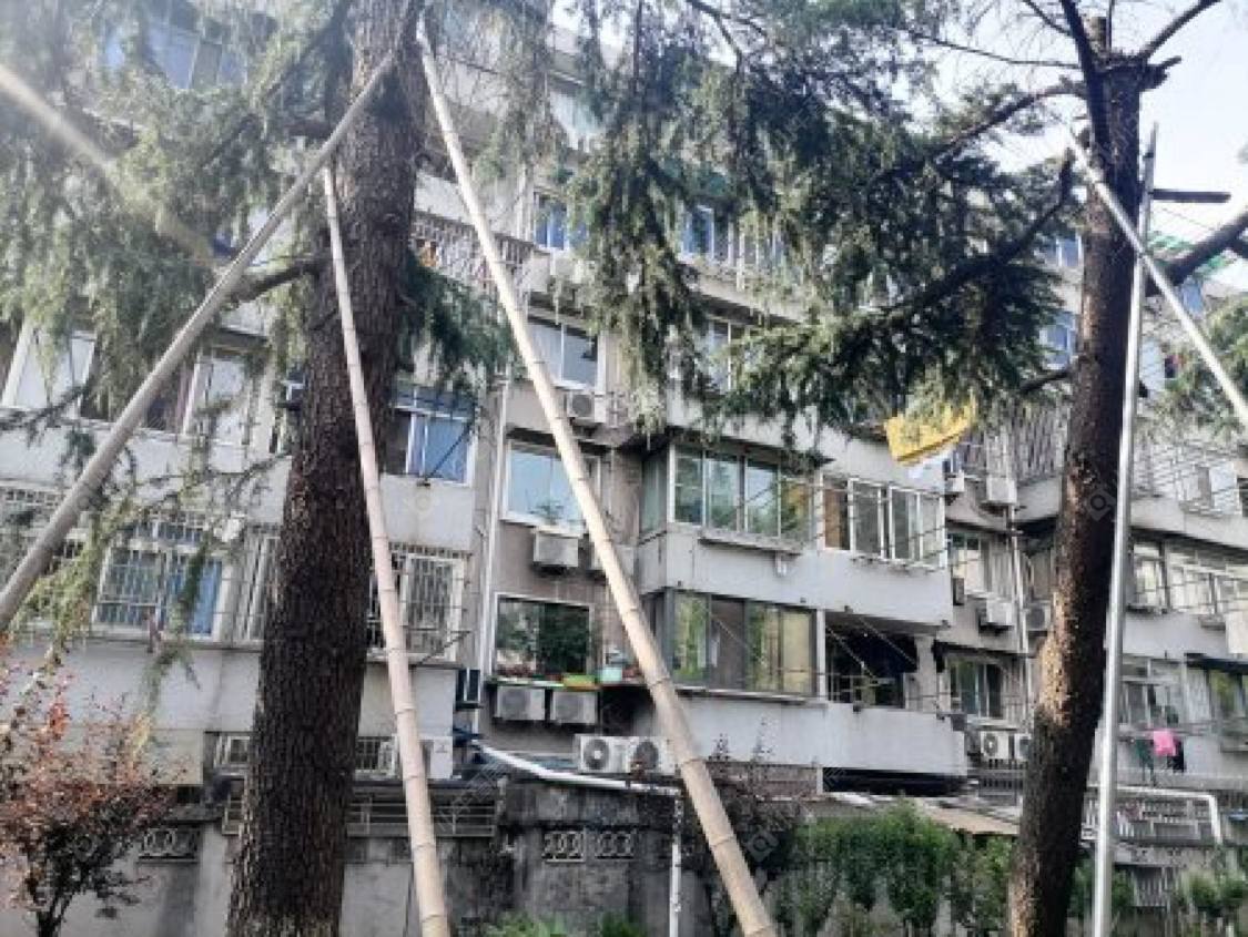 上海长清路小区_小牛看房