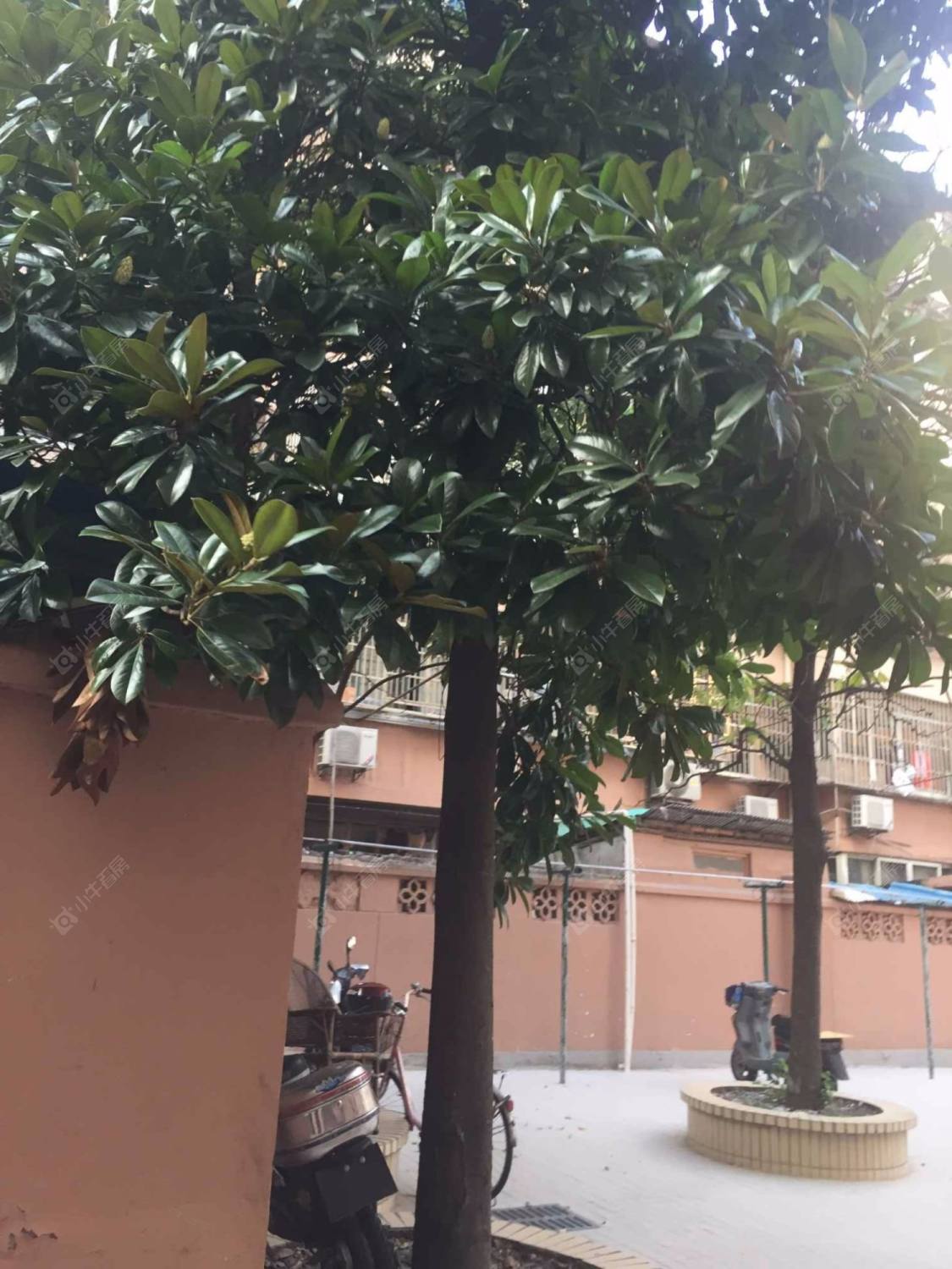 上海局北村小区_局北村小区null