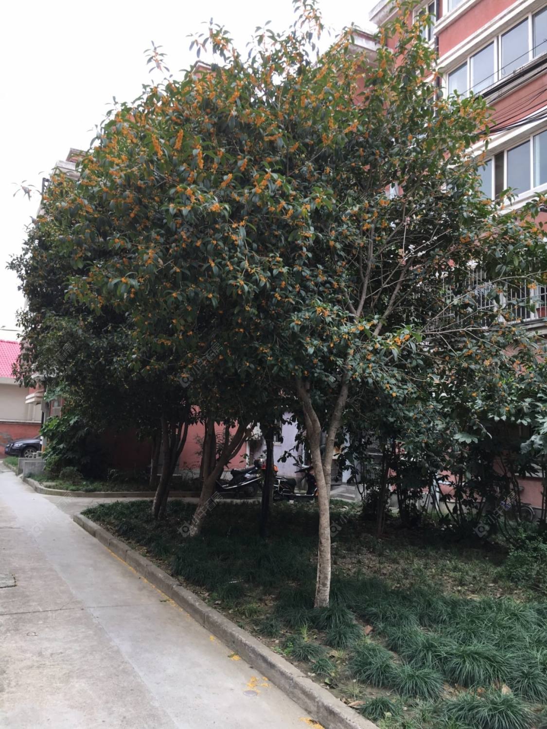 教苑新村封面图_小牛看房