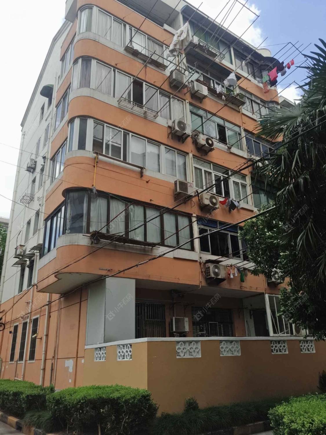 曹杨五村梅花园封面图_小牛看房