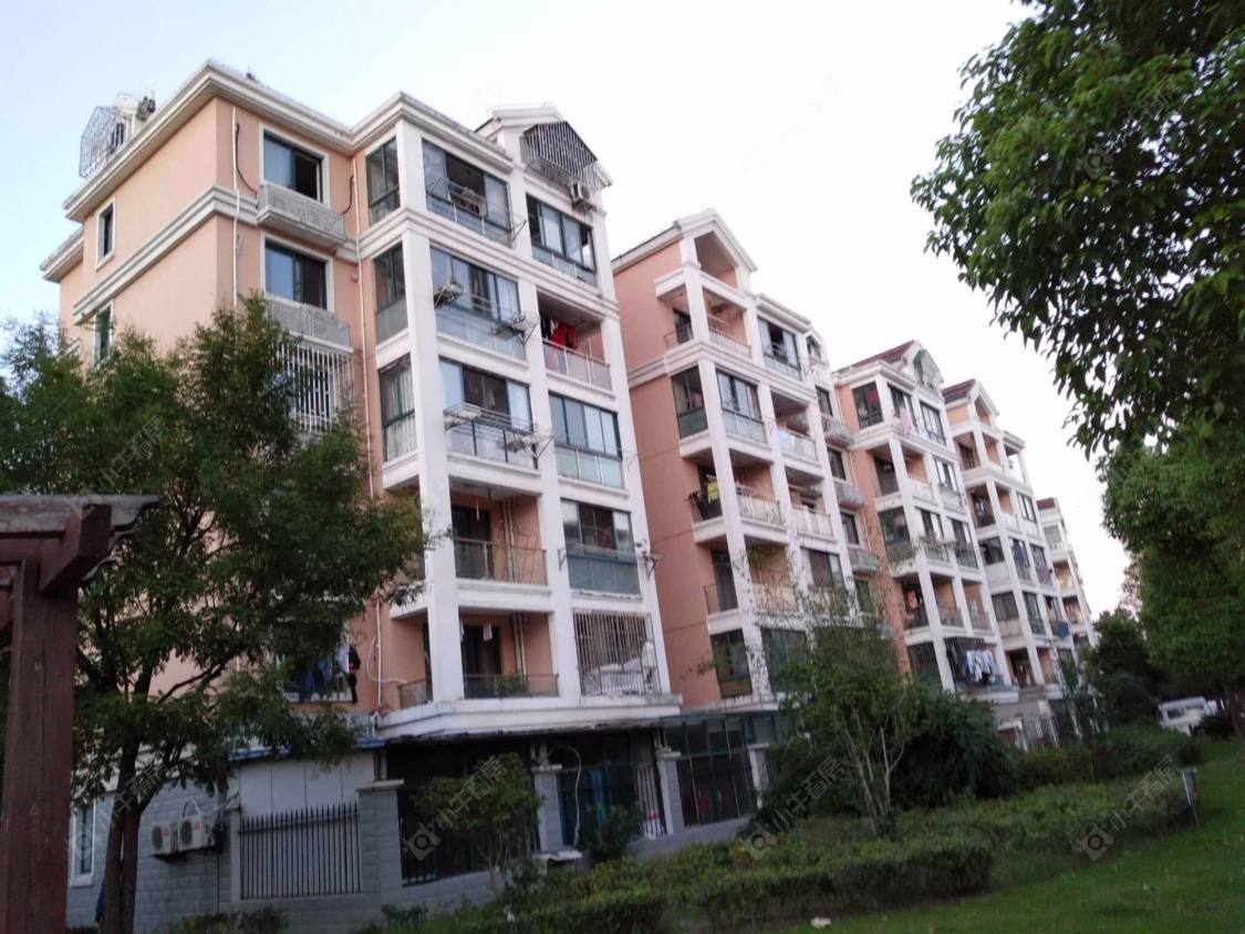 上海新泾北苑小区_新泾北苑小区null