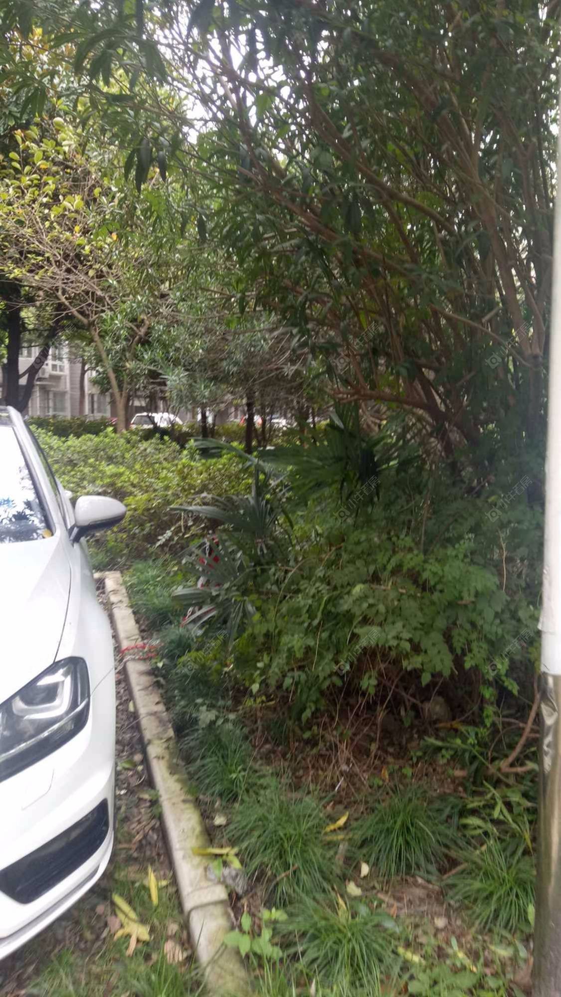 日月新苑封面图_小牛看房