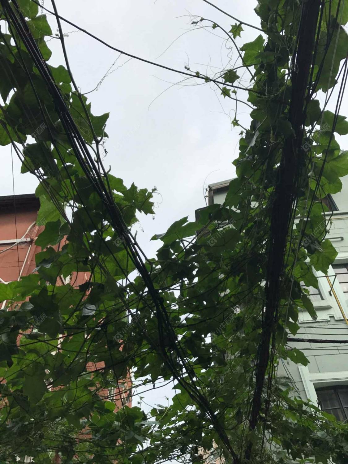 上海江宁路702弄小区_江宁路702弄小区null