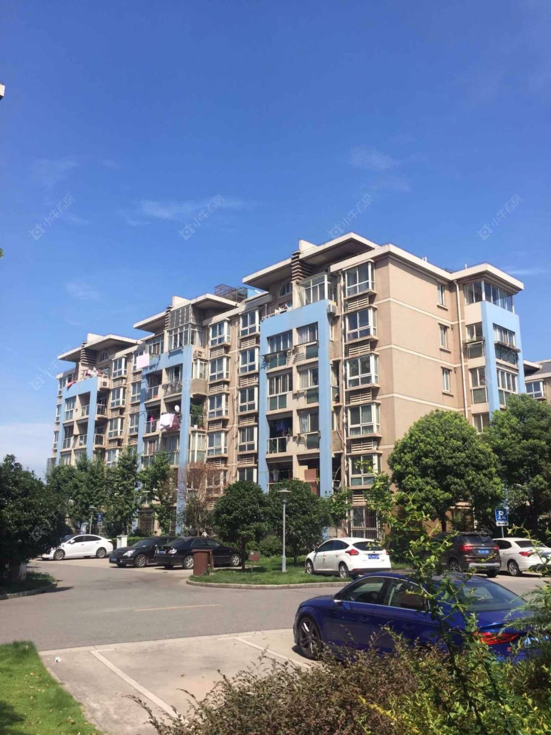 上海新月明珠园小区_新月明珠园小区null