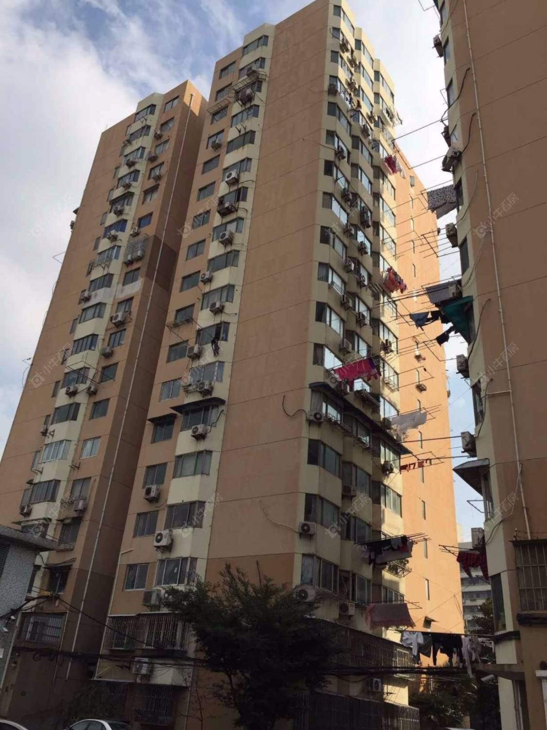 上海民主花园小区_民主花园小区null