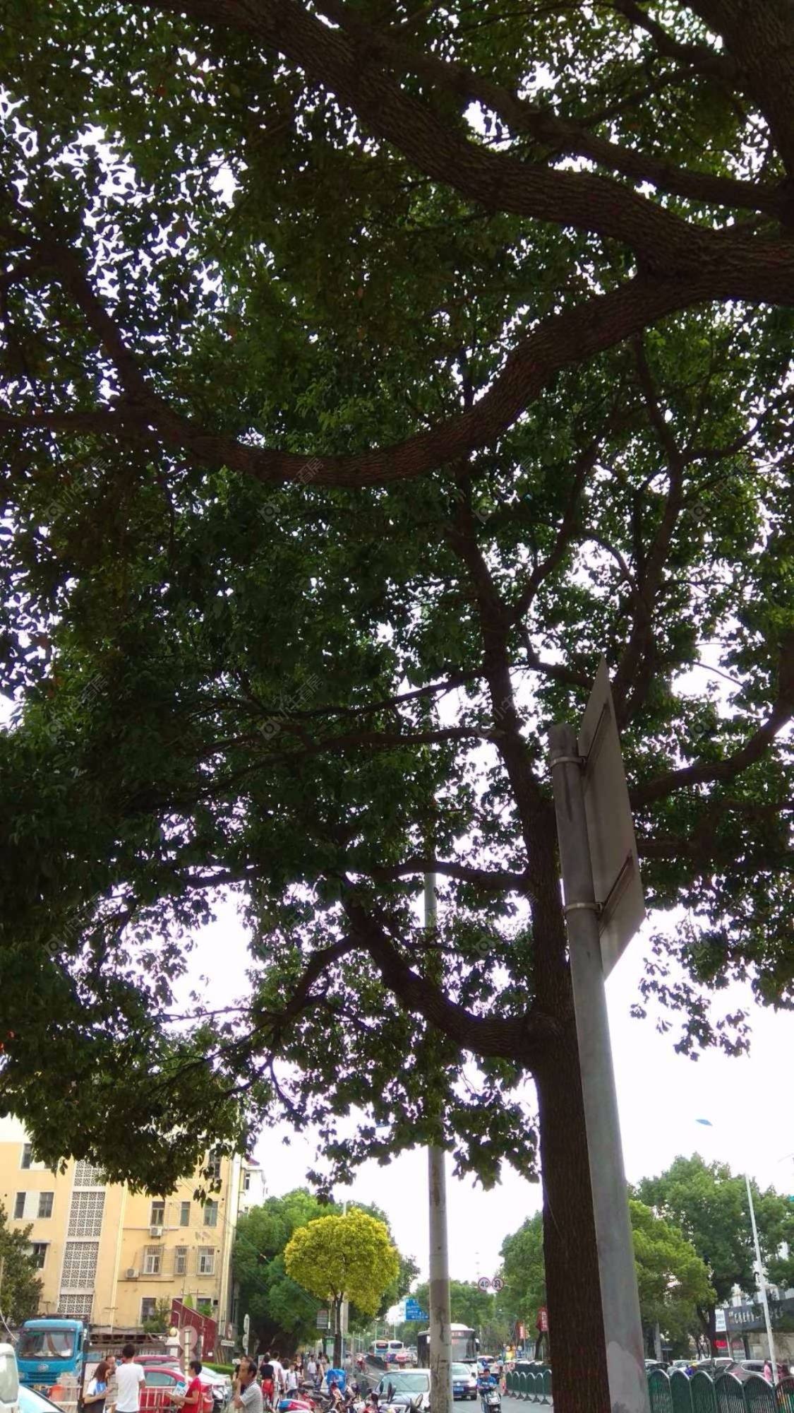 上海惠城大厦小区_惠城大厦小区null