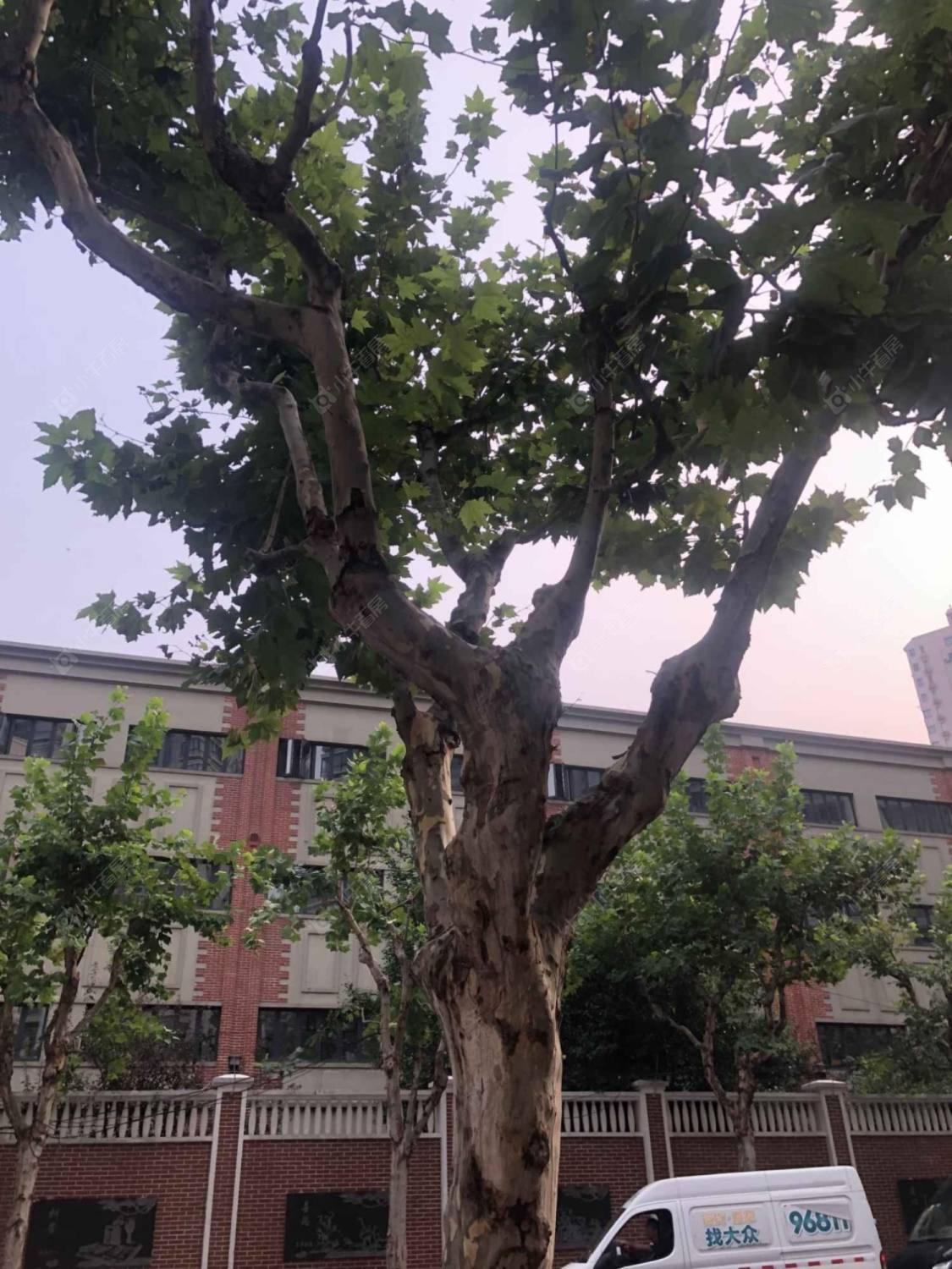 上海海防路小区_海防路小区null