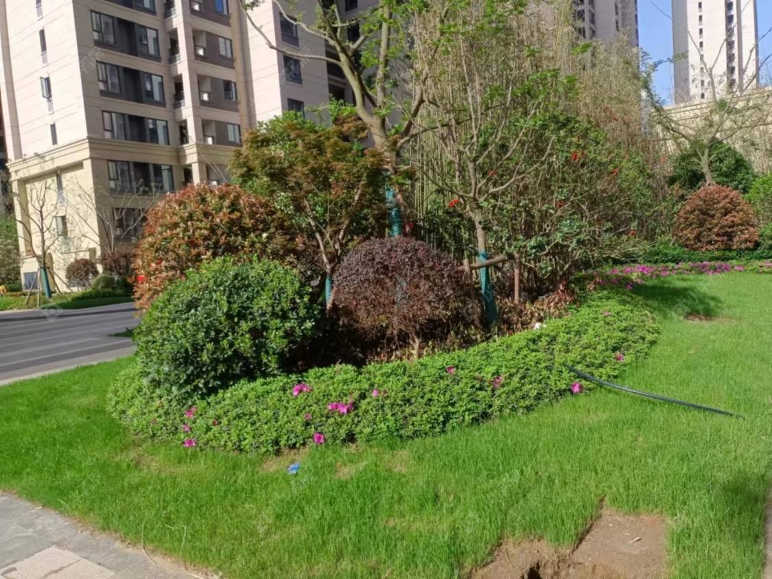 墨翠里封面图_小牛看房