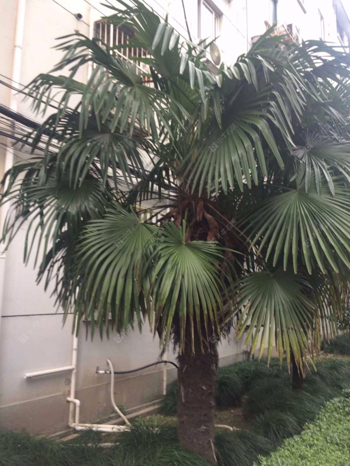 博一小区465弄封面图_小牛看房