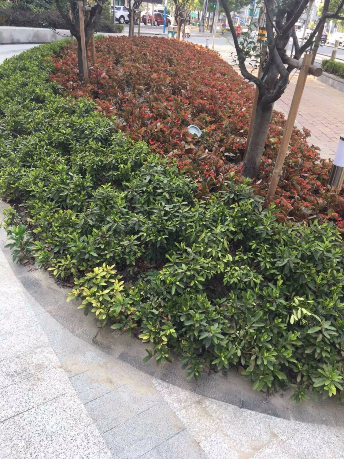 上海和福花苑小区_和福花苑小区null