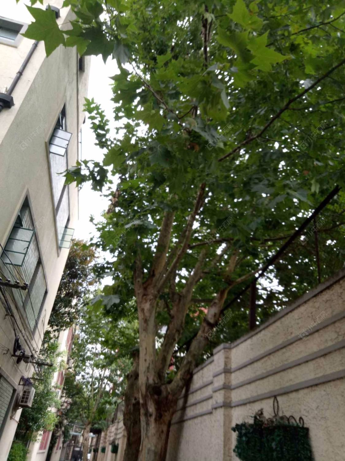 上海正蕃小筑小区_正蕃小筑小区null