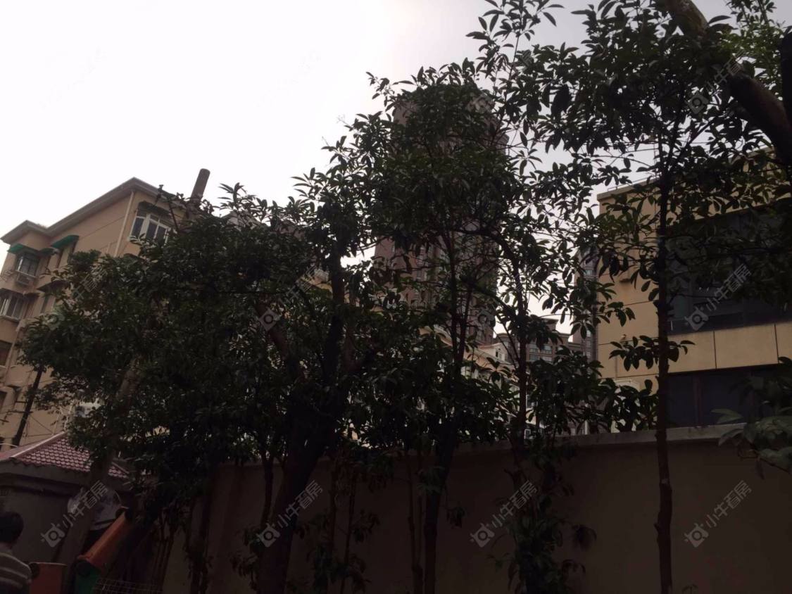 上海虬江路909弄小区_虬江路909弄小区实景图