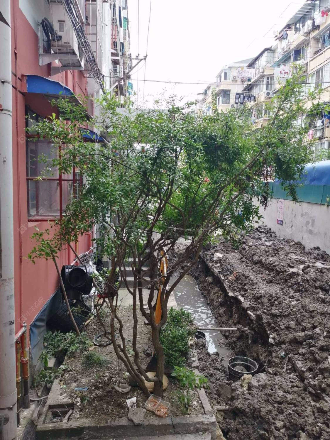 上海池沟路62弄小区_池沟路62弄小区null